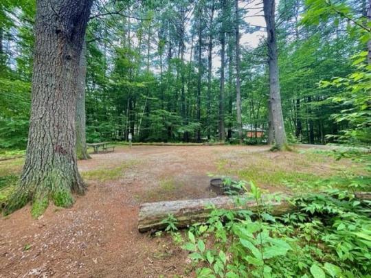 Site 048 at Bear Brook State Park